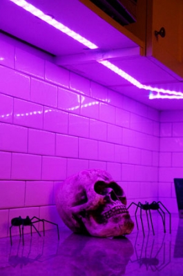 Las calaveras no pueden faltar en la noche de Halloween