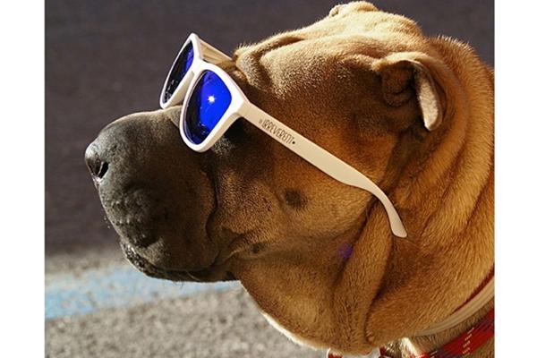 vive un verano be irreverent vive un verano be irreverent