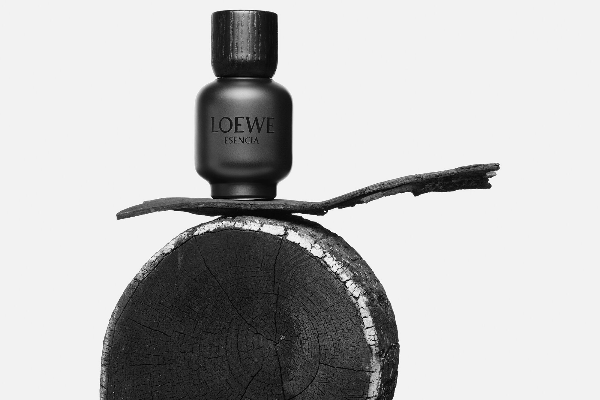 loewe esencia eau de parfum la creacin olfativa ms atrevida loewe esencia eau de parfum la creacion olfativa mas atrevida