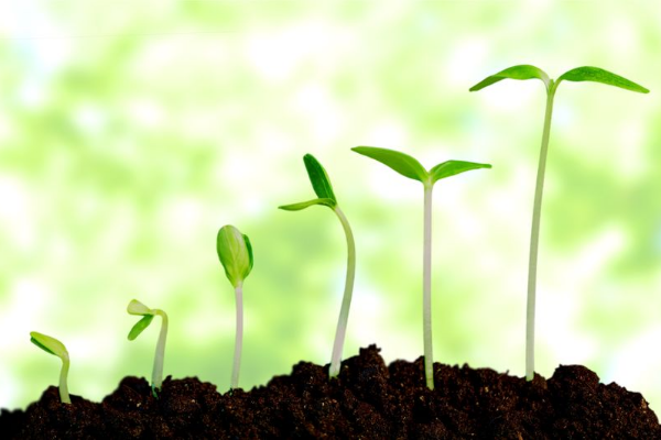 da mundial de la naturaleza 8 consejos para ser ms sostenibles en el da a da dia mundial de la naturaleza 8 consejos para ser mas sostenibles en el dia a dia
