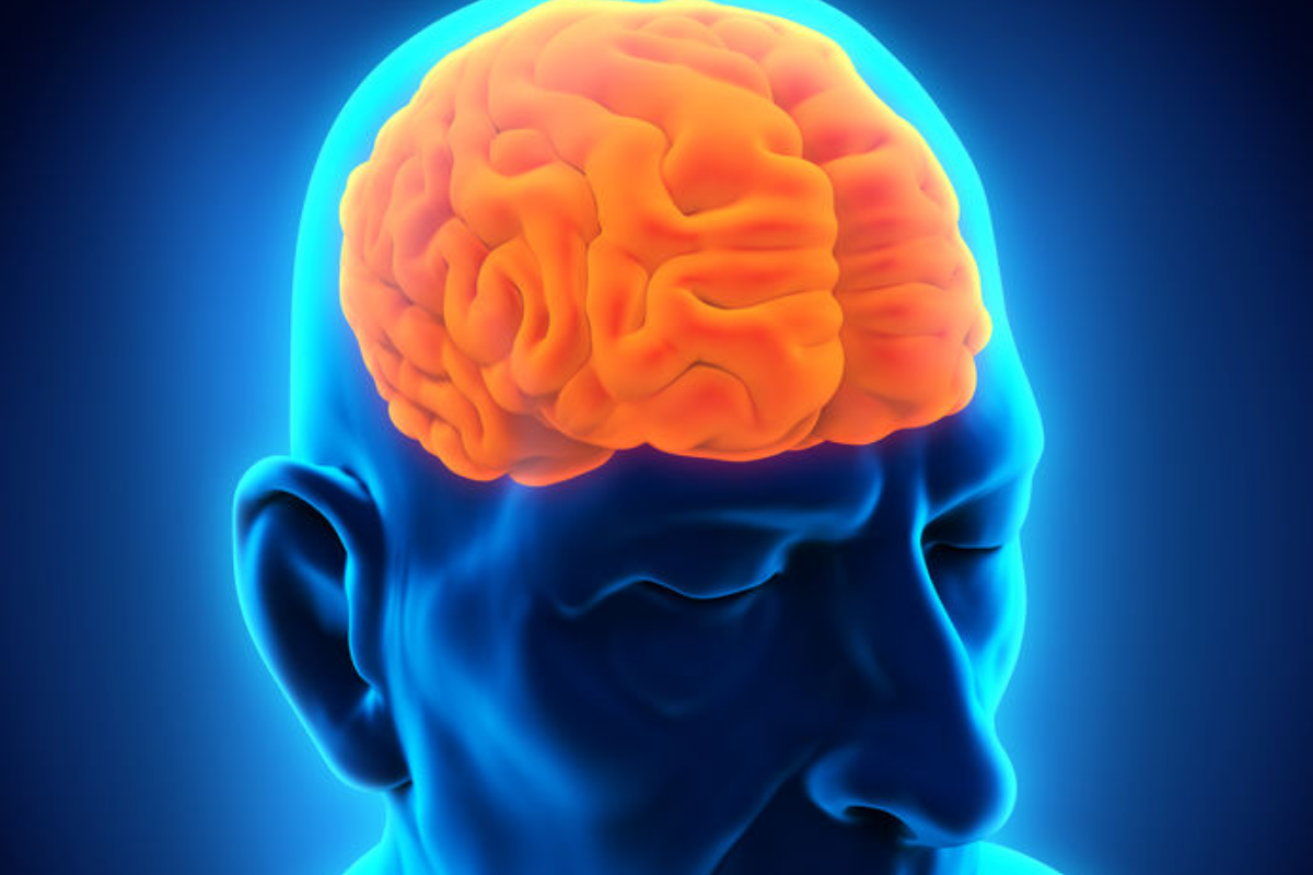 la epilepsia causas sntomas y tratamiento la epilepsia causas sintomas y tratamiento