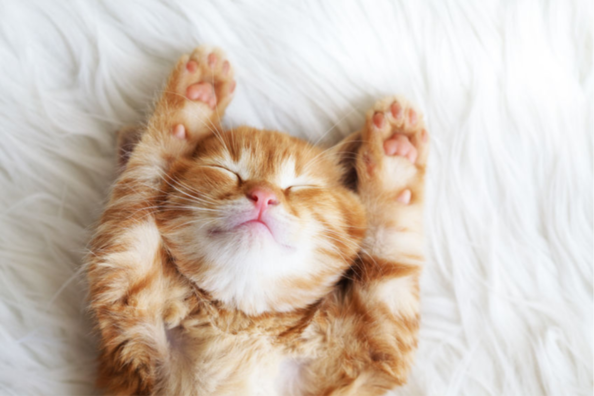 7 trucos para dormir mejor 7 trucos para dormir mejor