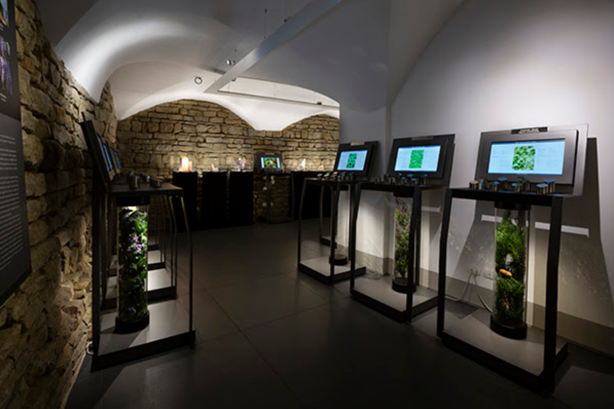 abre sus puertas el museo villoresi el proyecto del maestro de la perfumera lorenzo villoresi abre sus puertas el museo villoresi el proyecto del maestro de la perfumeria lorenzo villoresi