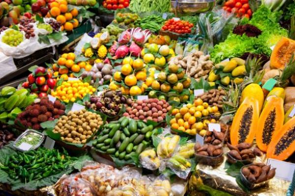 a dieta de nuevo a dieta de nuevo