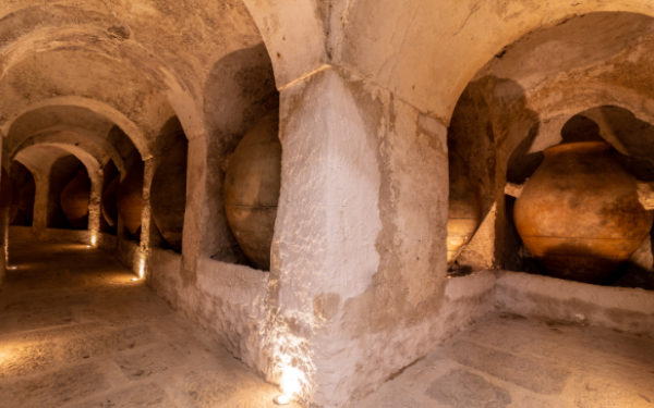 estancia-unica-en-una-antigua-bodega-patrimonio-de-madrid-con-visita