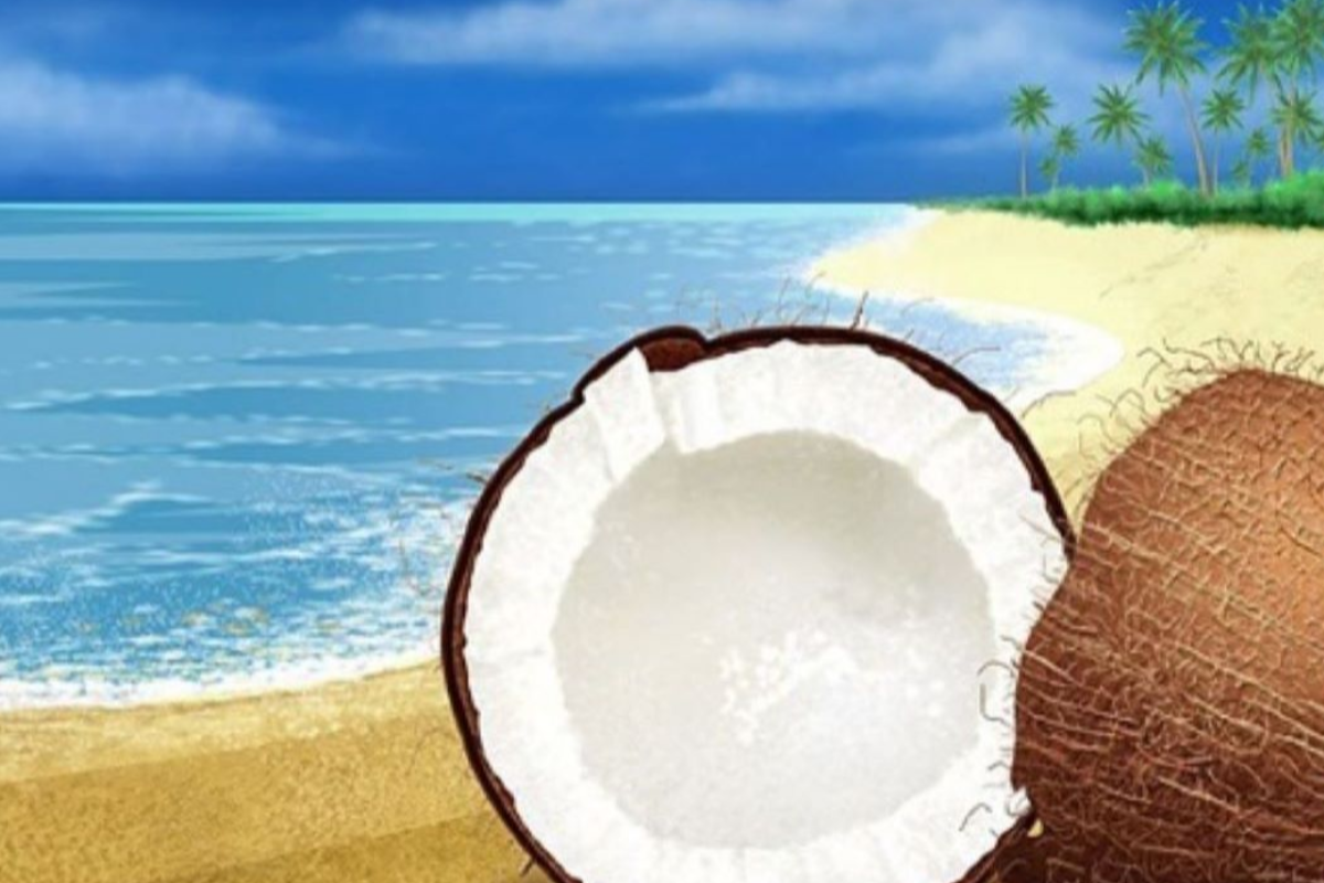 el verstil aceite de coco el versatil aceite de coco