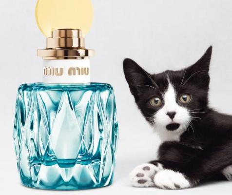 miu miu eau bleue el despertar de la primavera miu miu eau bleue el despertar de la primavera