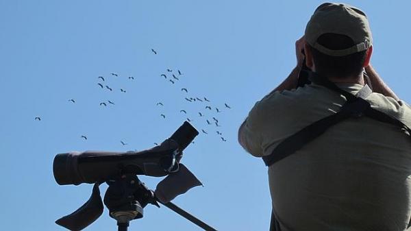 aficioacutenate al ldquobirdwatchingrdquo aficioacutenate al ldquobirdwatchingrdquo