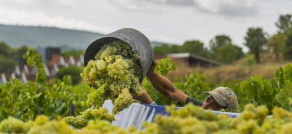 el agua protagonista en la ruta del vino cigales el agua protagonista en la ruta del vino cigales