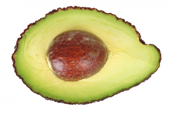 apon un aguacate en tu vida apon un aguacate en tu vida