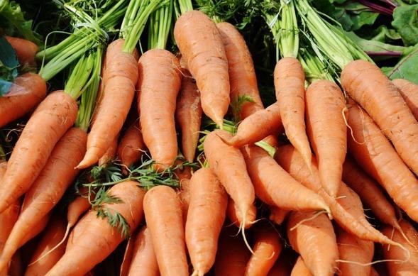 tu alimentacioacuten es importante para cuidar tu visoacuten tu alimentacioacuten es importante para cuidar tu visoacuten