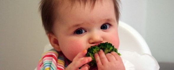 alimentacioacuten-baby-led-weaning-el-bebeacute-decide-coacutemo-y-queacute-comer