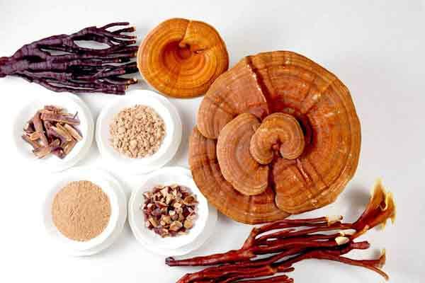 antildeade a tu cafeacute un extra de salud gracias al reishi antildeade a tu cafeacute un extra de salud gracias al reishi