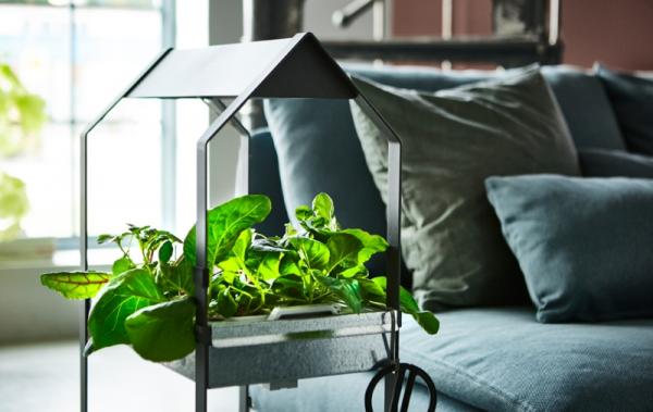 el autocultivo llega a tu hogar con estos kits de jardineriacutea el autocultivo llega a tu hogar con estos kits de jardineriacutea