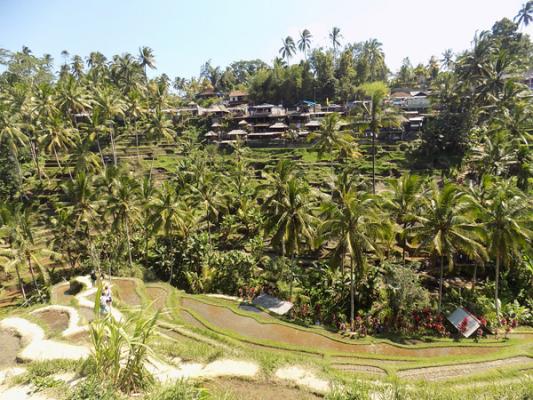 bali la isla de los dioses bali la isla de los dioses