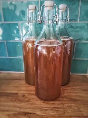 una bebida quotde modaquot kombucha una bebida quotde modaquot kombucha