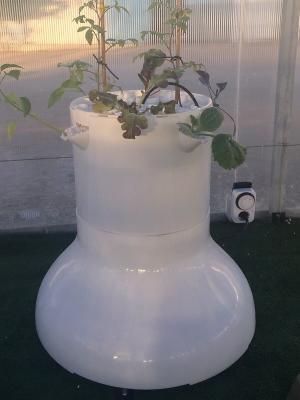 coacutemo convertir una terraza o balcoacuten en un pequentildeo huerto o jardiacutennbsp coacutemo convertir una terraza o balcoacuten en un pequentildeo huerto o jardiacutennbsp