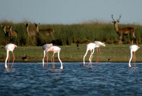 conoce los diez paiacuteses con mayor patrimonio naturalnbsp conoce los diez paiacuteses con mayor patrimonio naturalnbsp