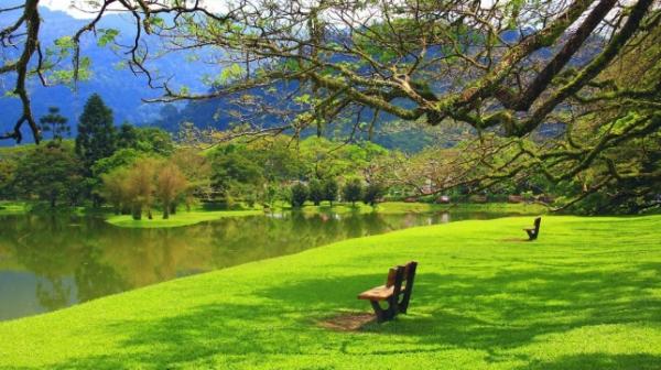 diez ventajas de respirar naturaleza diez ventajas de respirar naturaleza