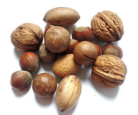 disfruta de los frutos secos disfruta de los frutos secos