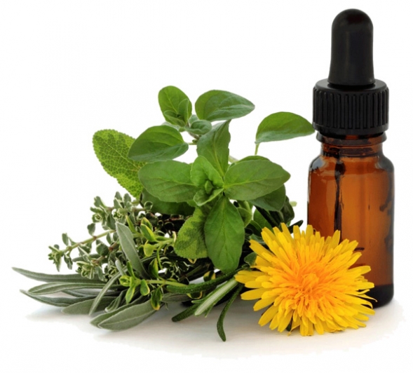 flores de bach pequenos remedios para grandes males flores de bach pequenos remedios para grandes males