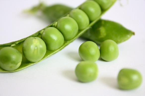 guisantes para todos guisantes para todos