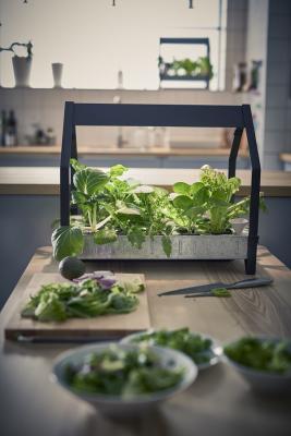 ikea te ayuda a cultivas tus especias y verduras todo el antildeonbsp ikea te ayuda a cultivas tus especias y verduras todo el antildeonbsp