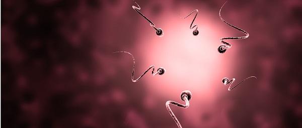 inseminacioacuten artificial y fecundacioacuten in vitro iquestsabes cuaacuteles son las diferencias inseminacioacuten artificial y fecundacioacuten in vitro iquestsabes cuaacuteles son las diferencias