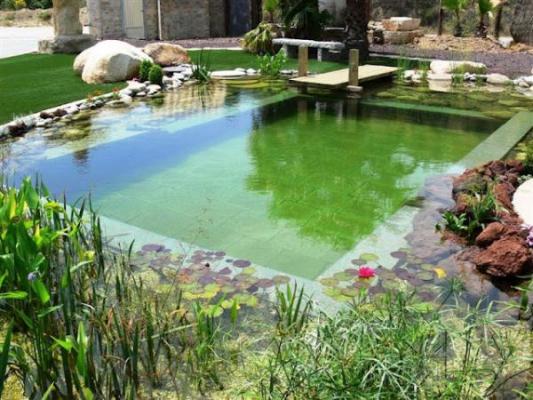 iquestpensando en construir una piscina en tu casa prueba con las ecoloacutegicas iquestpensando en construir una piscina en tu casa prueba con las ecoloacutegicas