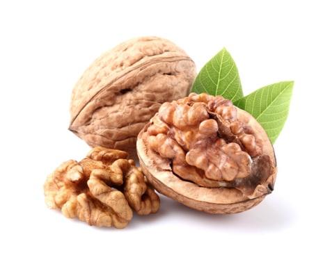 iquestpueden alimentarse los huesos iquestpueden alimentarse los huesos