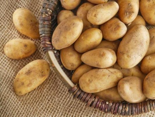 iquesttambieacuten os vuelven locos las patatas iquesttambieacuten os vuelven locos las patatas