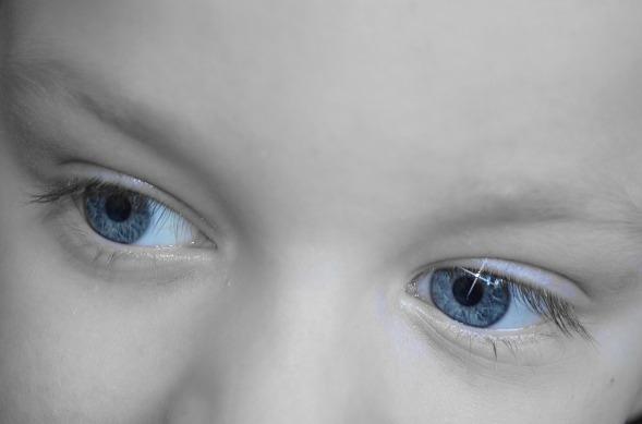 mantener los ojos en perfecto estado mantener los ojos en perfecto estado