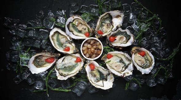 el marisco es un alimento muy saludable el marisco es un alimento muy saludable