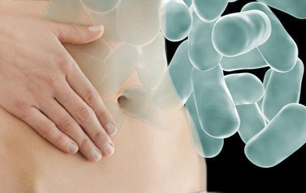 no te olvides proteger tu flora intestinal no te olvides proteger tu flora intestinal