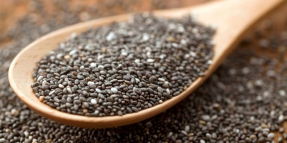 el poder de las semillas de chia el poder de las semillas de chia