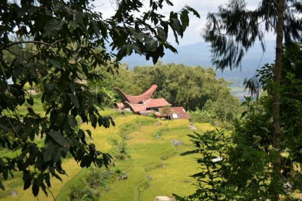 el-pueblo-toraja-y-sus-tradiciones-ancestrales-parte-ii