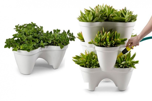 un soplo de naturaleza en tu hogar con ivy un soplo de naturaleza en tu hogar con ivy
