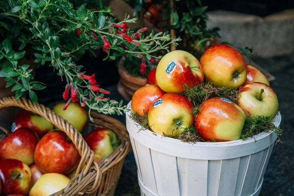 tratamientos caseros con manzana para regenerar la piel tratamientos caseros con manzana para regenerar la piel