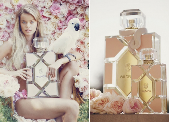 wildfox una nueva fragancia que no te dejaraacute indiferente wildfox una nueva fragancia que no te dejaraacute indiferente