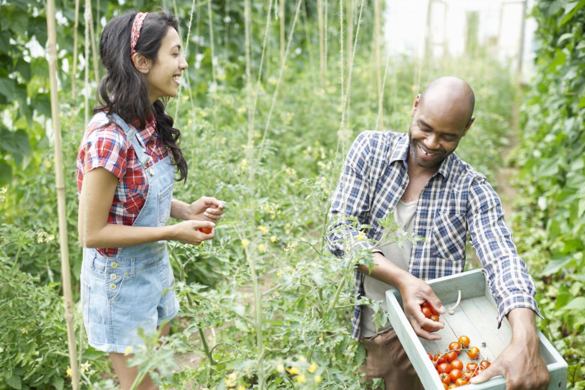 la-generacion-z-quiere-hacer-voluntariado-mientras-viaja la-generacion-z-quiere-hacer-voluntariado-mientras-viaja