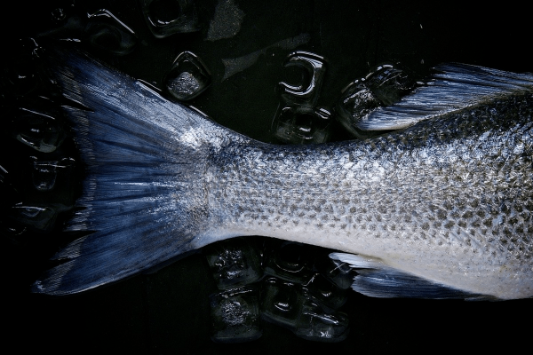 consejos-para-saber-comprar-pescado-fresco
