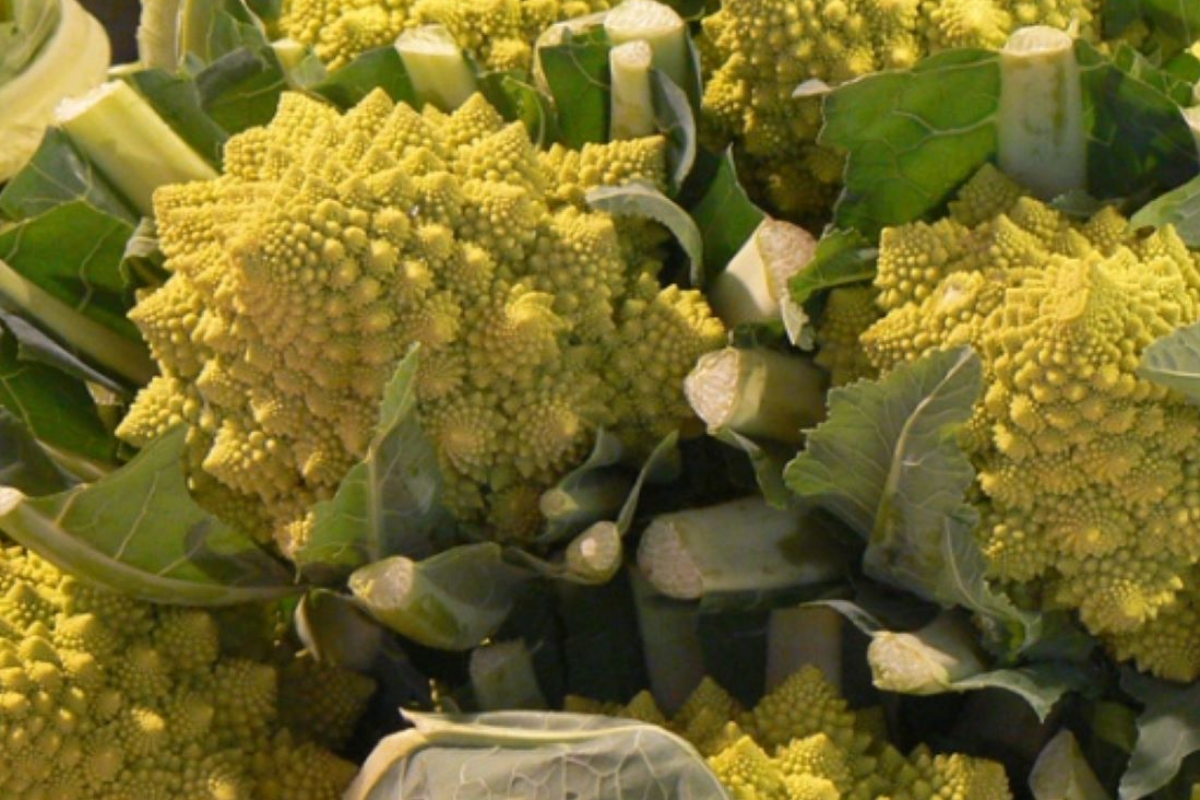7-motivos-para-comer-cruciferas 7-motivos-para-comer-cruciferas
