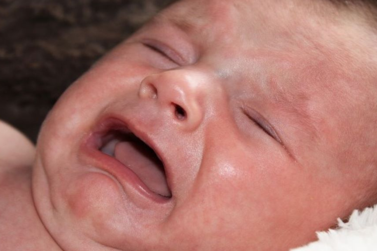 mi-bebe-ya-esta-en-casa-ahora-que-hago mi-bebe-ya-esta-en-casa-ahora-que-hago