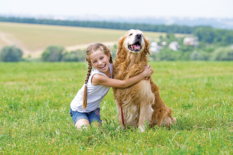 conoces-los-beneficios-del-canamo-para-las-mascotas conoces-los-beneficios-del-canamo-para-las-mascotas