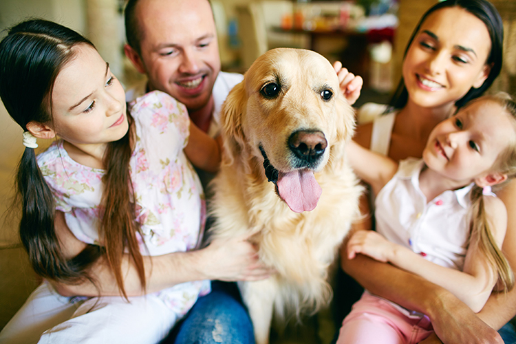 fundacion-affinity-invita-a-reflexionar-antes-de-regalar-un-animal-de fundacion-affinity-invita-a-reflexionar-antes-de-regalar-un-animal-de