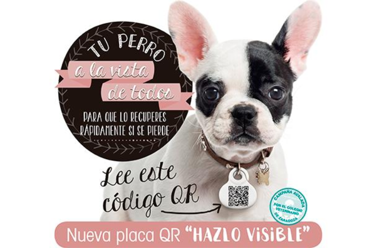 hazlo-visible-la-campana-de-los-veterinarios-de-zaragoza-que-ayuda hazlo-visible-la-campana-de-los-veterinarios-de-zaragoza-que-ayuda