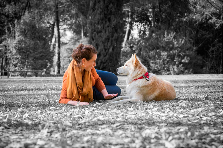 purina-implementara-su-estrategia-de-impulso-a-la-adopcion-de-animal purina-implementara-su-estrategia-de-impulso-a-la-adopcion-de-animal