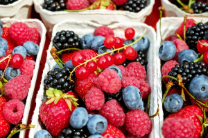 las-vitaminas-necesarias-para-sobrevivir-al-invierno las-vitaminas-necesarias-para-sobrevivir-al-invierno