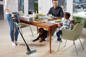 siete-consejos-para-eliminar-los-pelos-de-tu-mascota siete-consejos-para-eliminar-los-pelos-de-tu-mascota