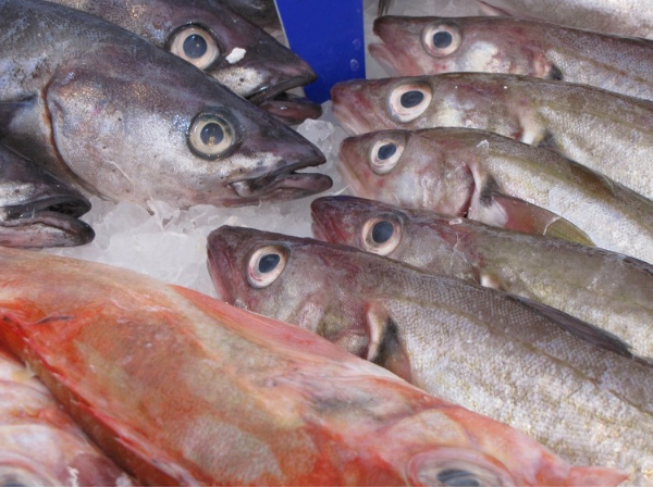 la-dieta-escandinava-una-opcion-muy-saludable-para-adelgazar